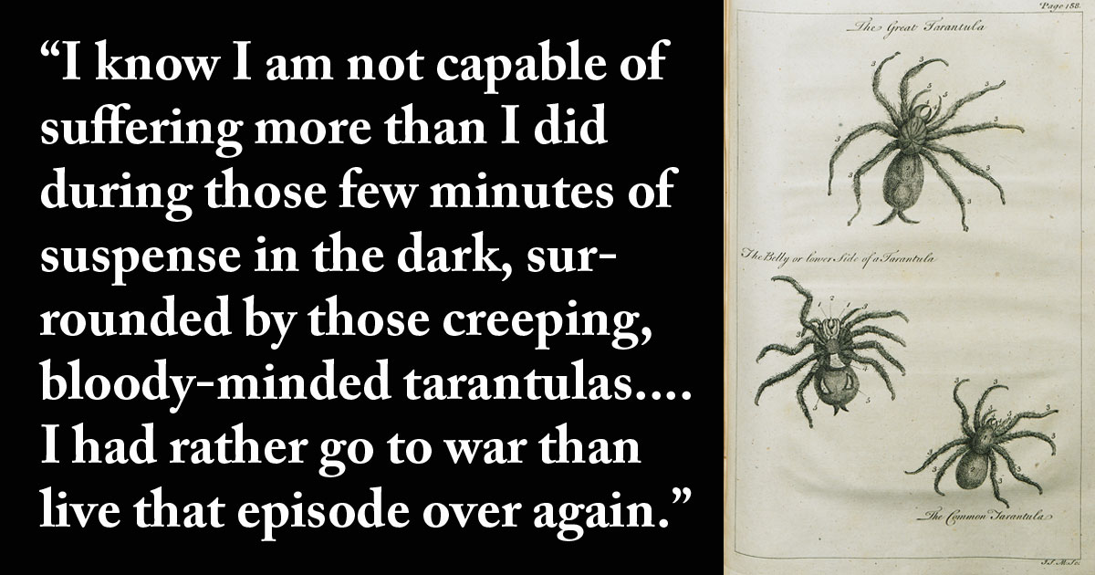 Tarantulas on the Loose from Roughing It by Mark Twain (1872)
