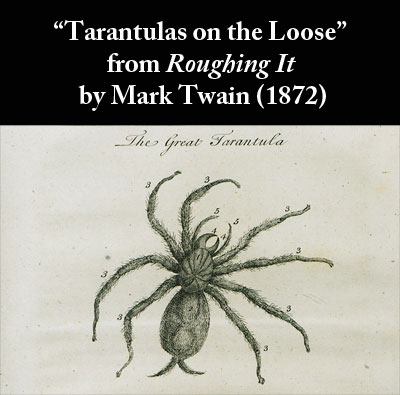 Mark Twain's story Tarantulas on the Loose from Roughing It (1872)