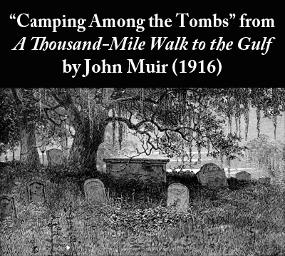 John Muir's story Camping Among the Tombs from A Thousand-Mile Walk to the Gulf (1916)